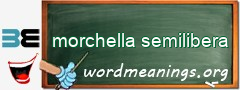 WordMeaning blackboard for morchella semilibera